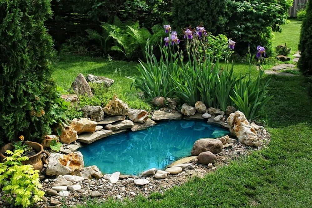 jardines pequeños con estanque.
